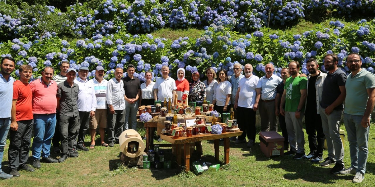 Artvin'de "Macahel Balı"nın tanıtımı ve sağımı yapıldı