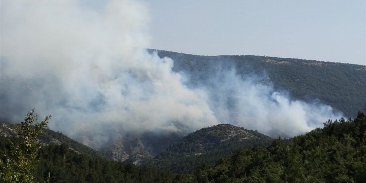 Bilecik'te çıkan orman yangınına havadan müdahale ediliyor