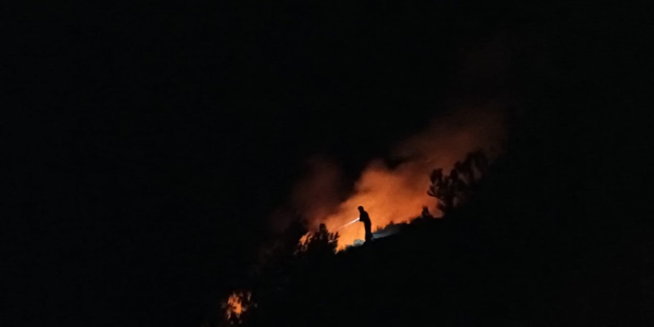 Hatay'da makilik alanda çıkan yangın söndürüldü