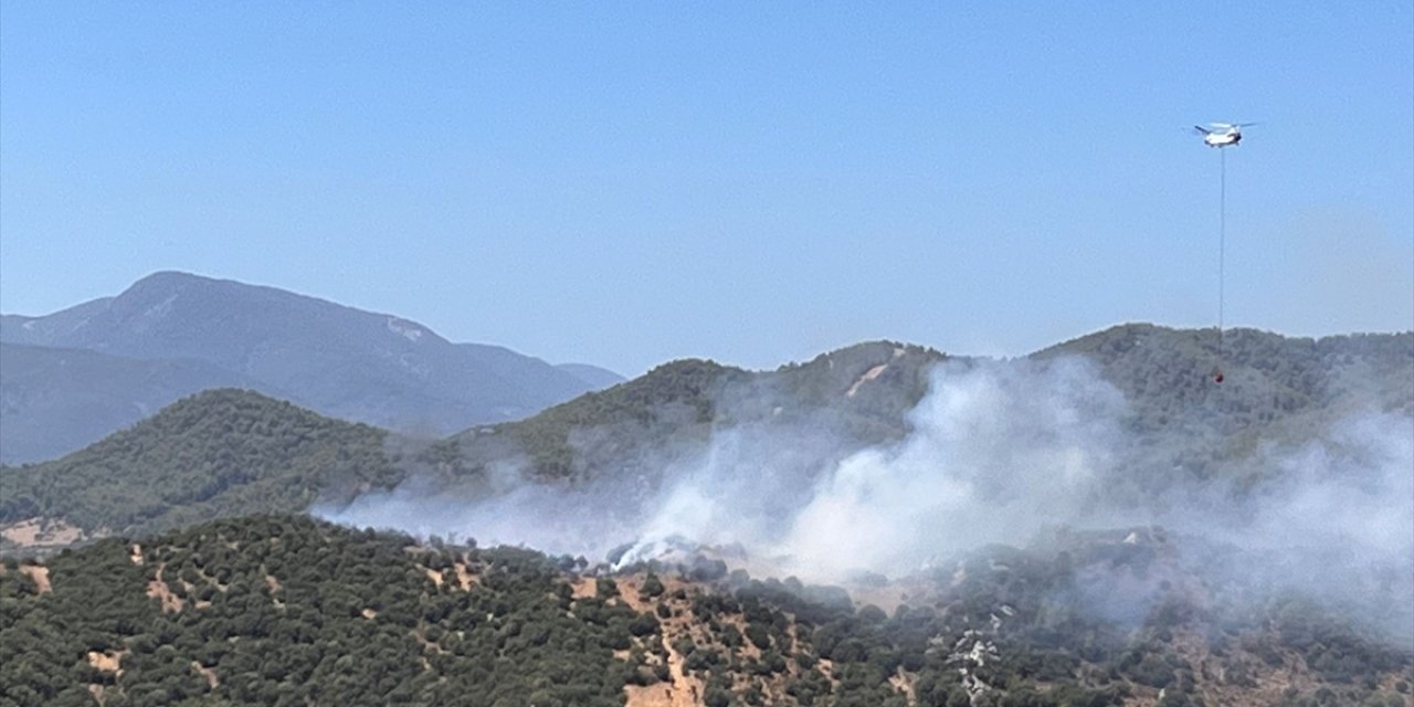 Muğla'da zeytinlik ve makilik alanda çıkan yangın söndürüldü