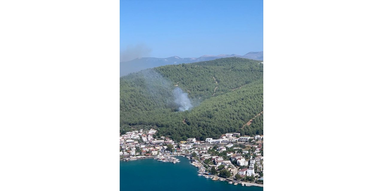 Bodrum'da çıkan orman yangınına müdahale ediliyor