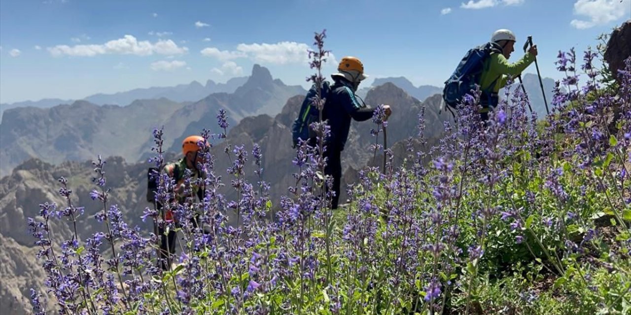 Hakkari'de dağcılar Sümbül ve Spi Dağı'na tırmandı