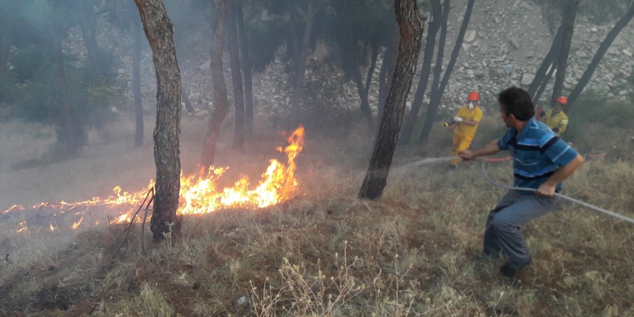 Sinop'ta çıkan orman yangını söndürüldü