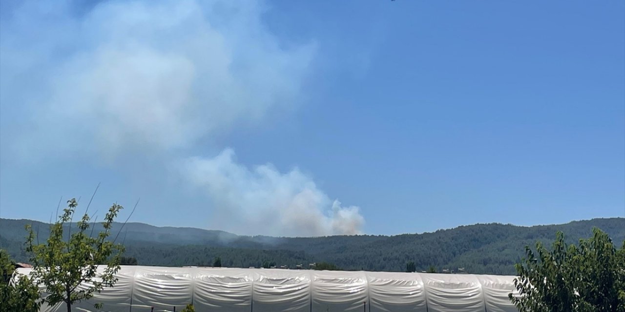 Muğla'da çıkan orman yangınına müdahale ediliyor