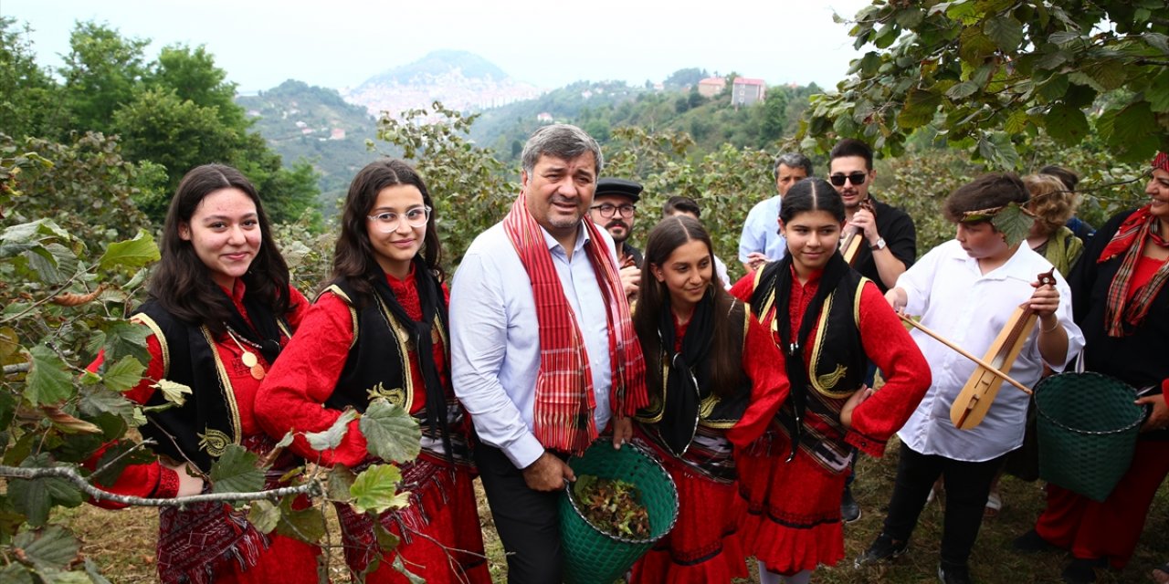 Giresun'da "Fındık Hasat Şenliği" gerçekleştirildi