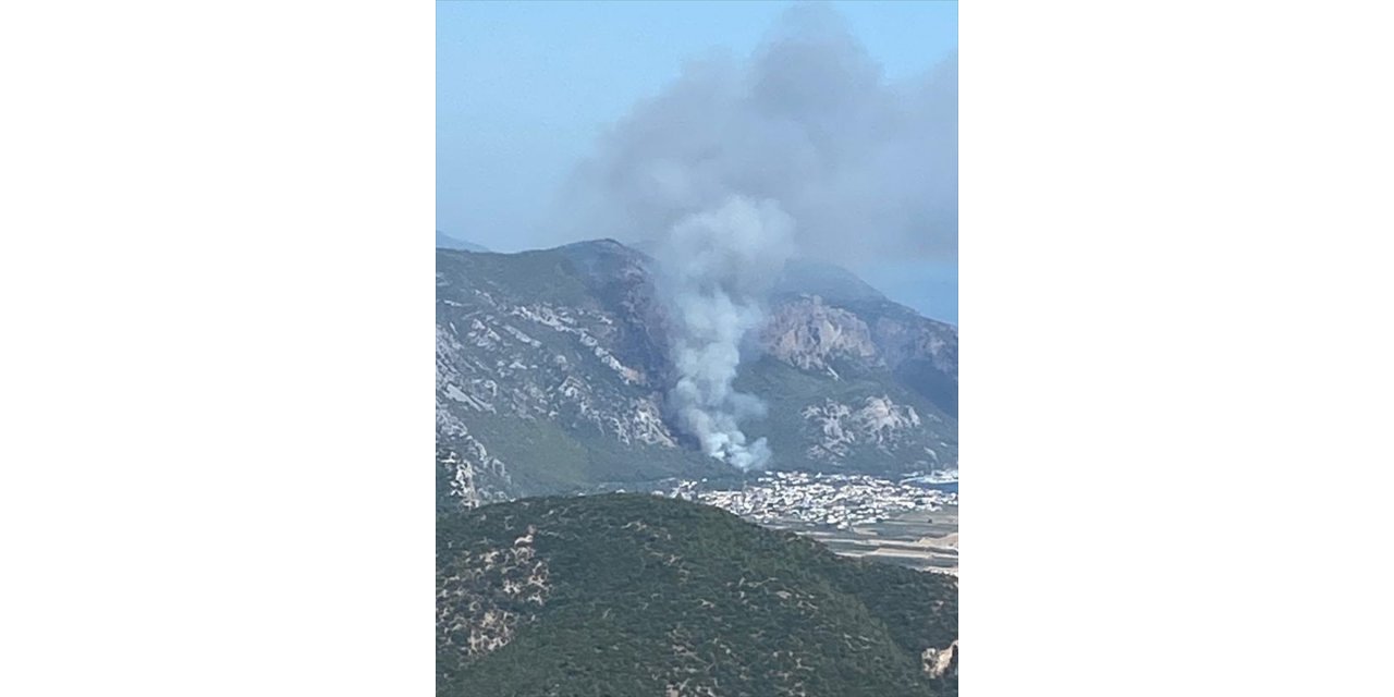 Muğla'da çıkan orman yangınına müdahale ediliyor