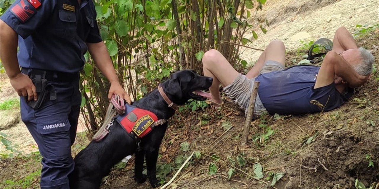 Ordu'da su kanalına düşerek yaralanan Alzheimer hastasını iz takip köpeği buldu