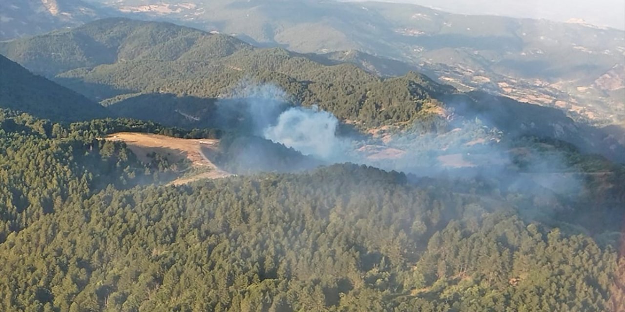 Balıkesir İvrindi'de orman yangını çıktı