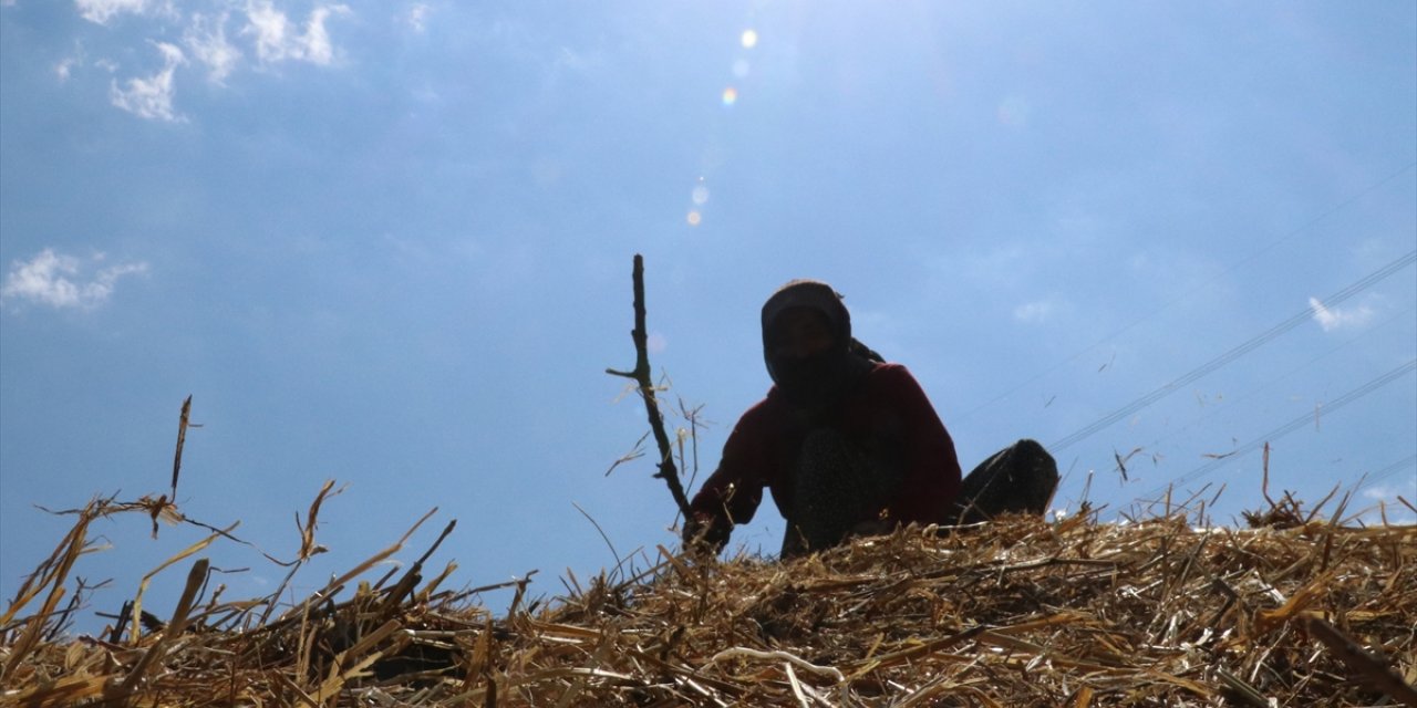 Mangal kömürü işçileri, bunaltıcı sıcaklarda üretime devam ediyor