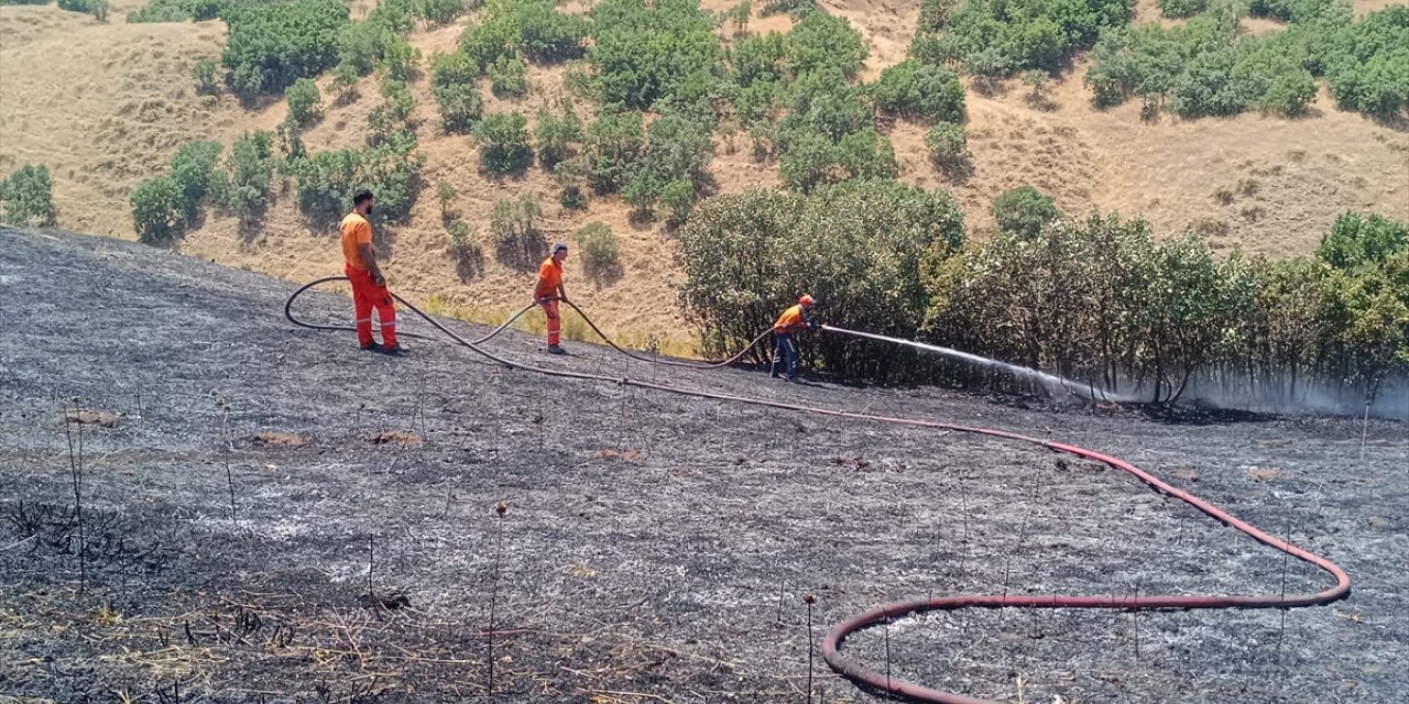 Bingöl'de çıkan orman yangını kontrol altına alındı