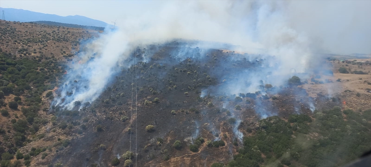 İzmir'in Aliağa ilçesinde otluk ve makilik alanda yangın çıktı