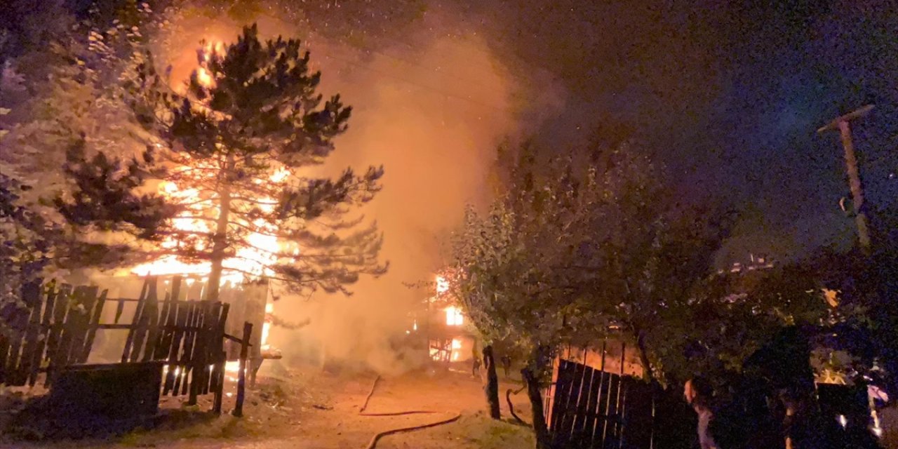 Sakarya'da kundaklanan 2 ev ile 2 baraka kullanılamaz hale geldi