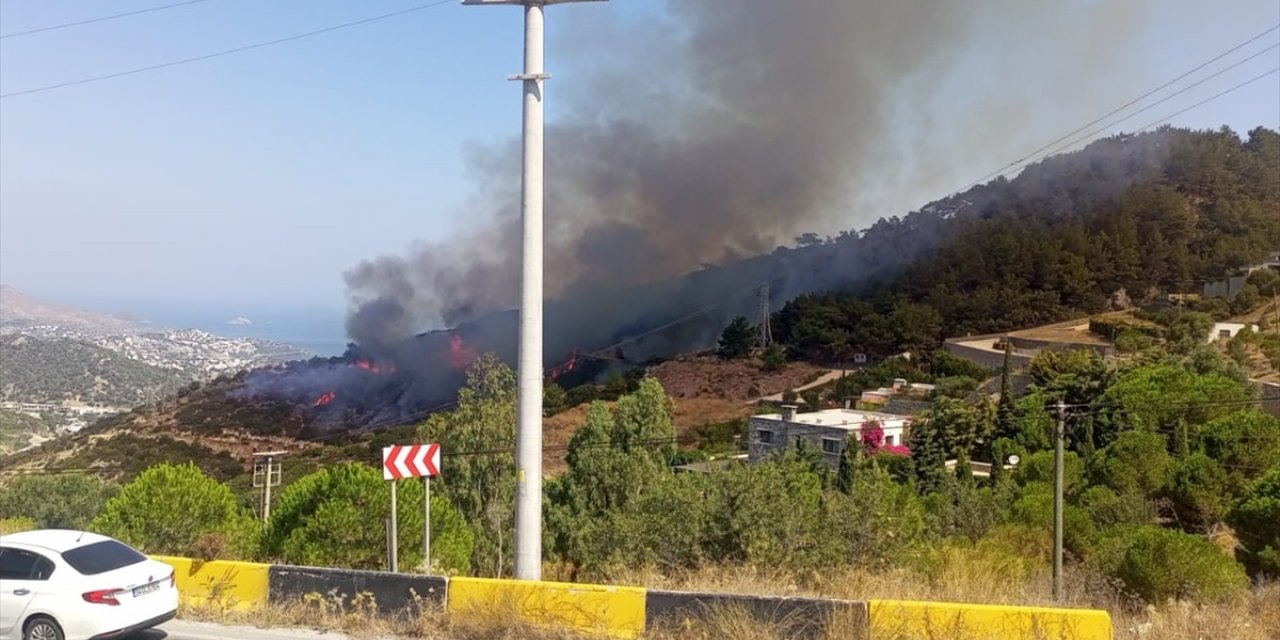 Bodrum'da makilik alanda çıkan yangın söndürüldü