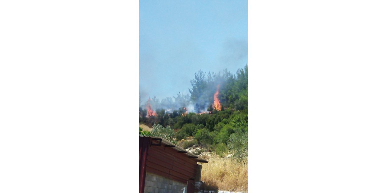 Muğla'da orman yangını başladı