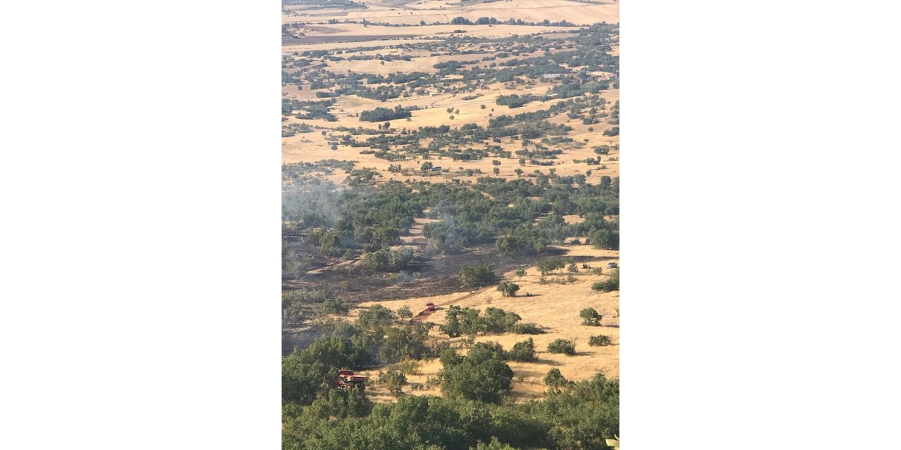 Diyarbakır'ın Lice ilçesinde çıkan orman yangını söndürüldü