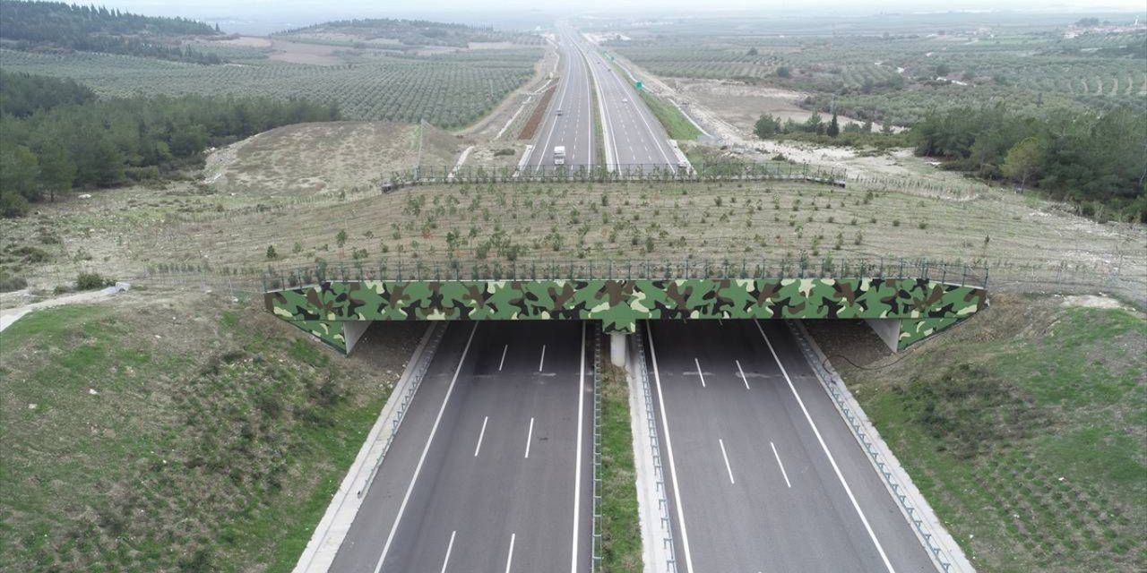 Bakan Uraloğlu: "4 ekolojik köprümüzün yapım çalışmaları devam ediyor"