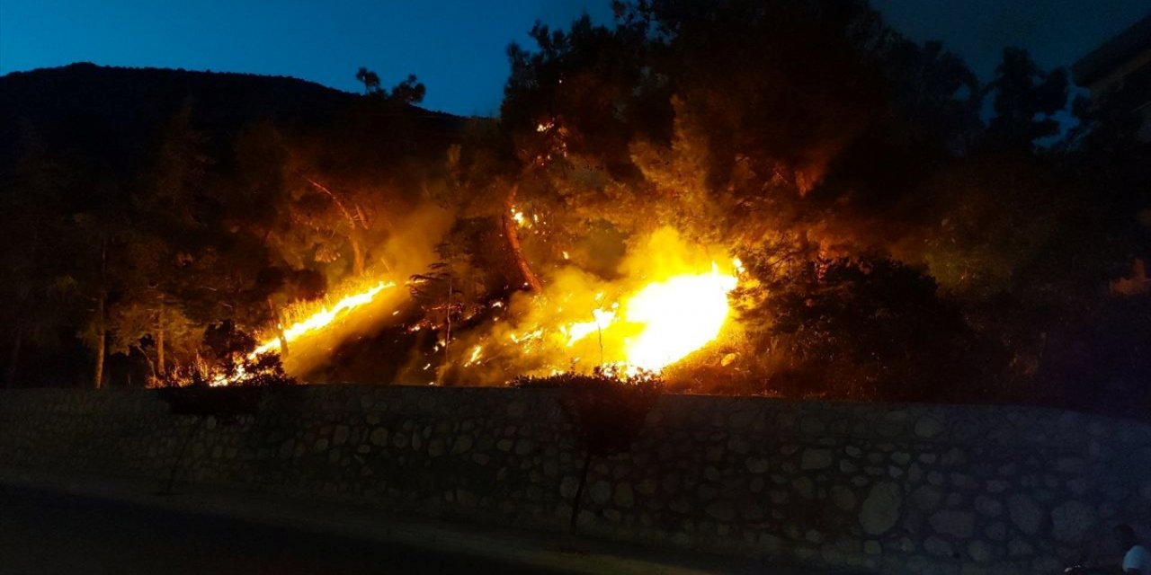 Amasya'da çıkan orman yangını söndürüldü