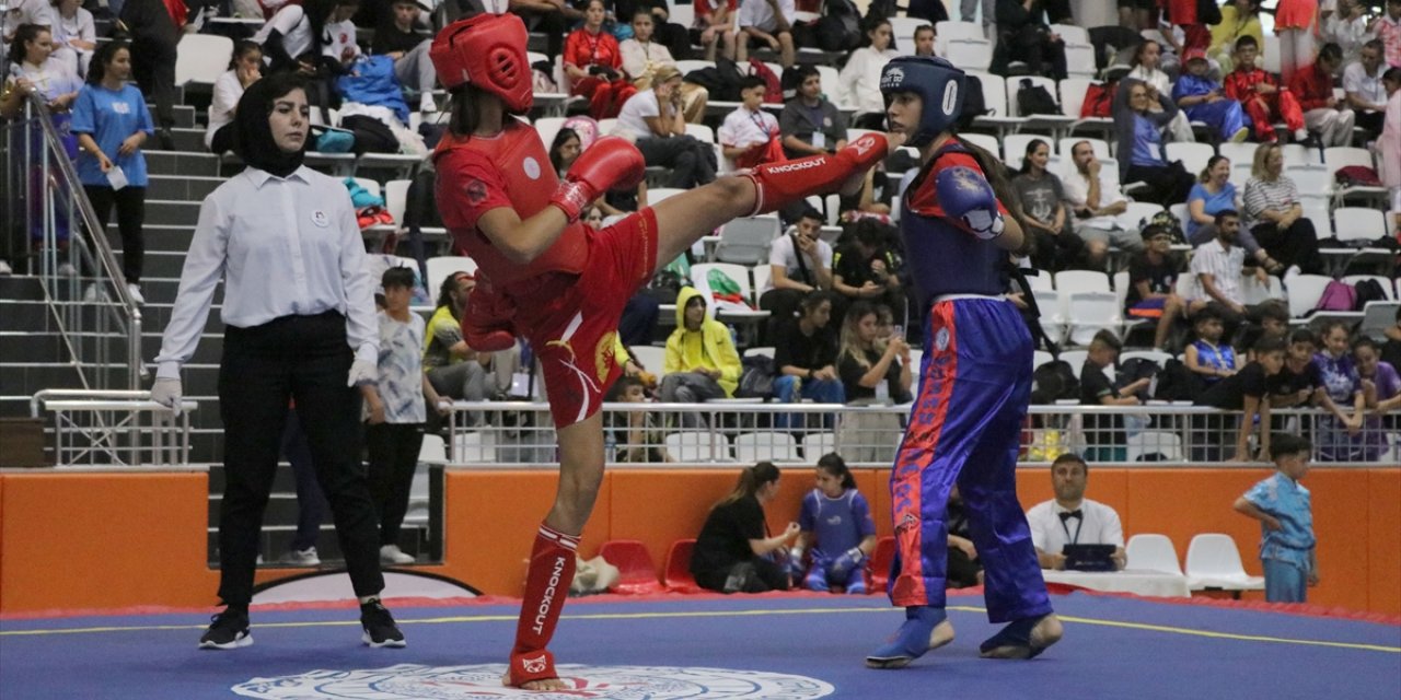 6. Açık Balkan Wushu Kung Fu Şampiyonası Edirne'de başladı