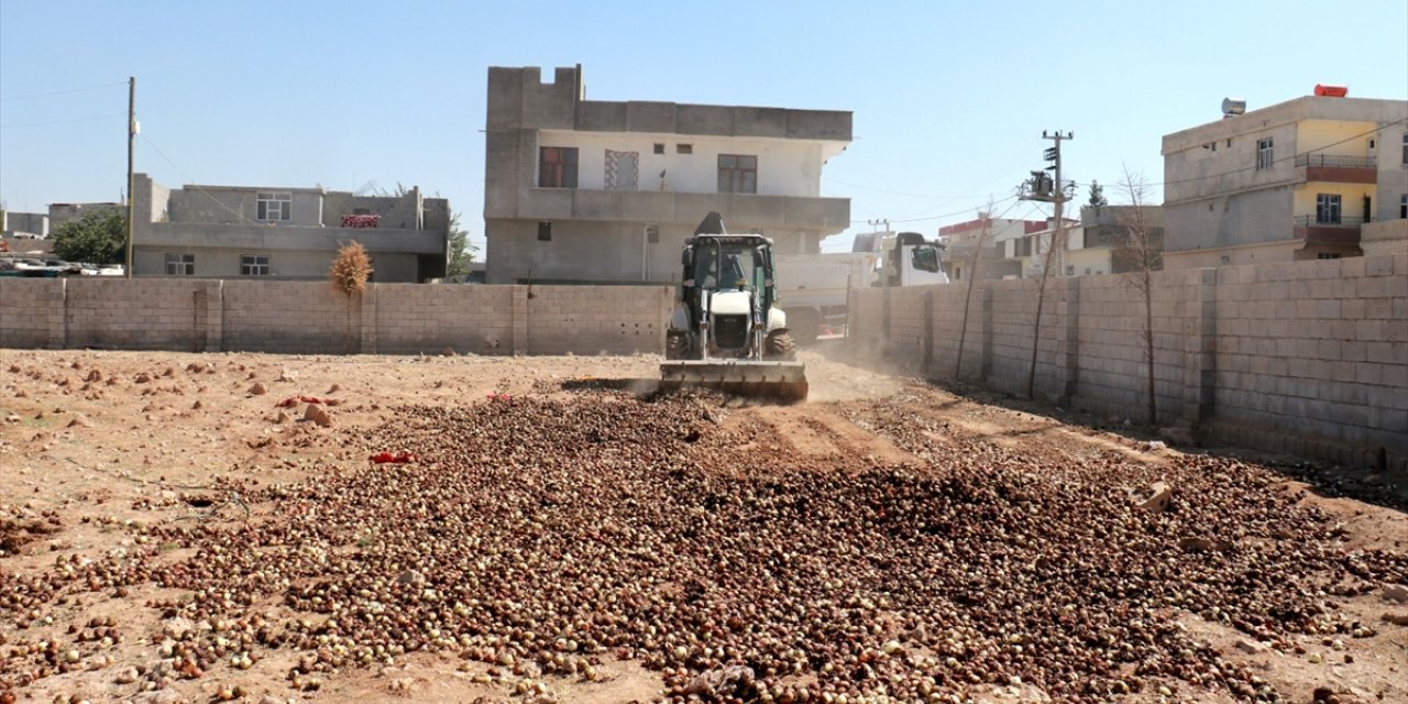 Şanlıurfa'da ele geçirilen 4 ton çürümüş soğan imha edildi