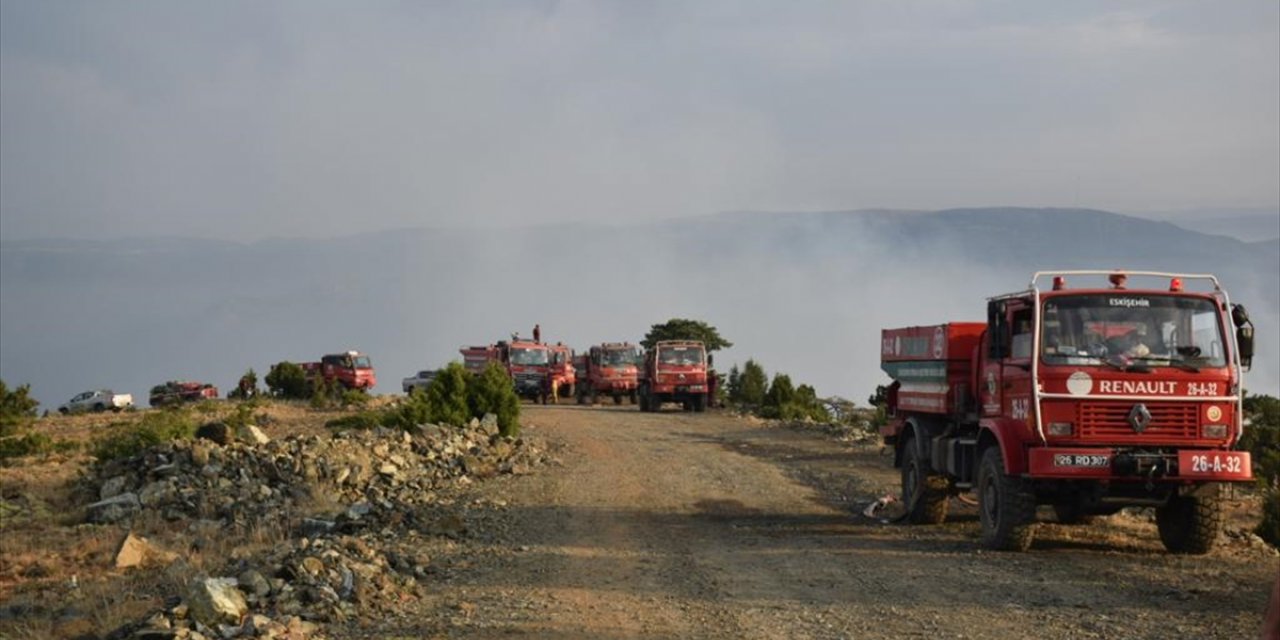 Eskişehir'de çıkan orman yangını kontrol altına alındı