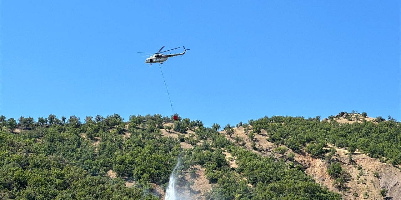 Bingöl'de ormanlık alanda çıkan yangın kontrol altına alındı