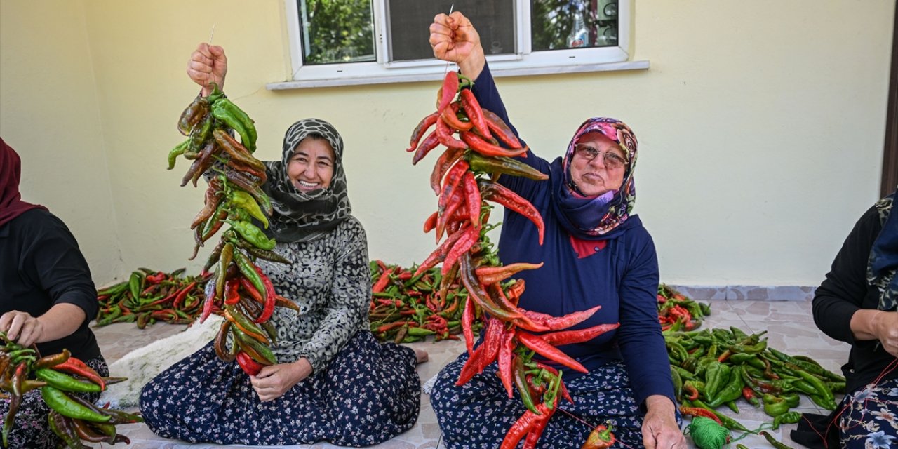 Bakanlığın ata tohumlardan ürettiği fideler verimiyle çiftçi kadınları memnun etti