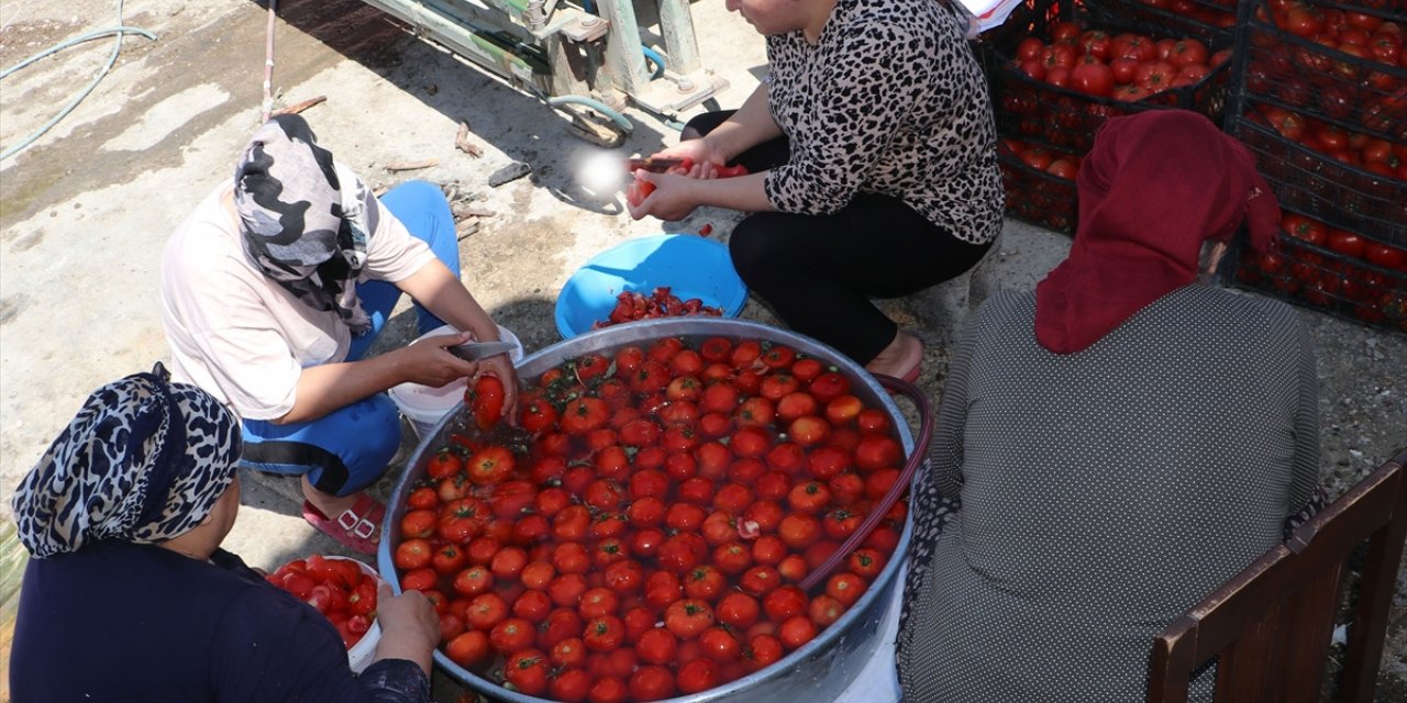 Samsun'da kış hazırlığı yapan kadınların salça kazanları kaynamaya başladı