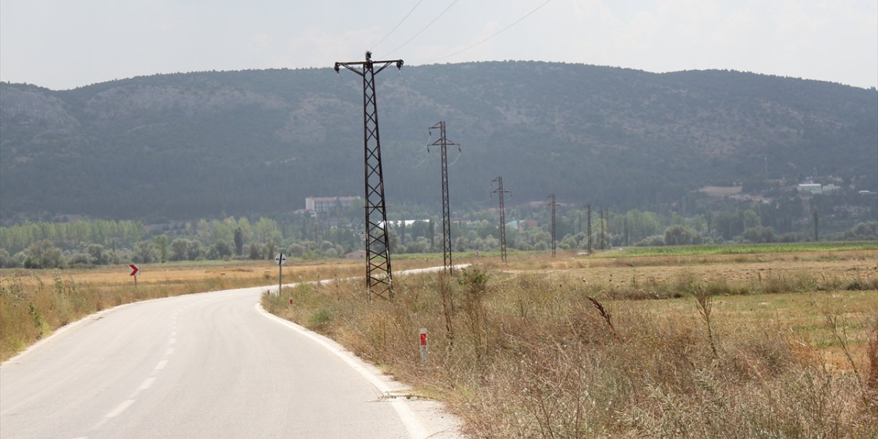 Kütahya'da elektrik direğinde akıma kapılan 50'ye yakın leylek telef oldu