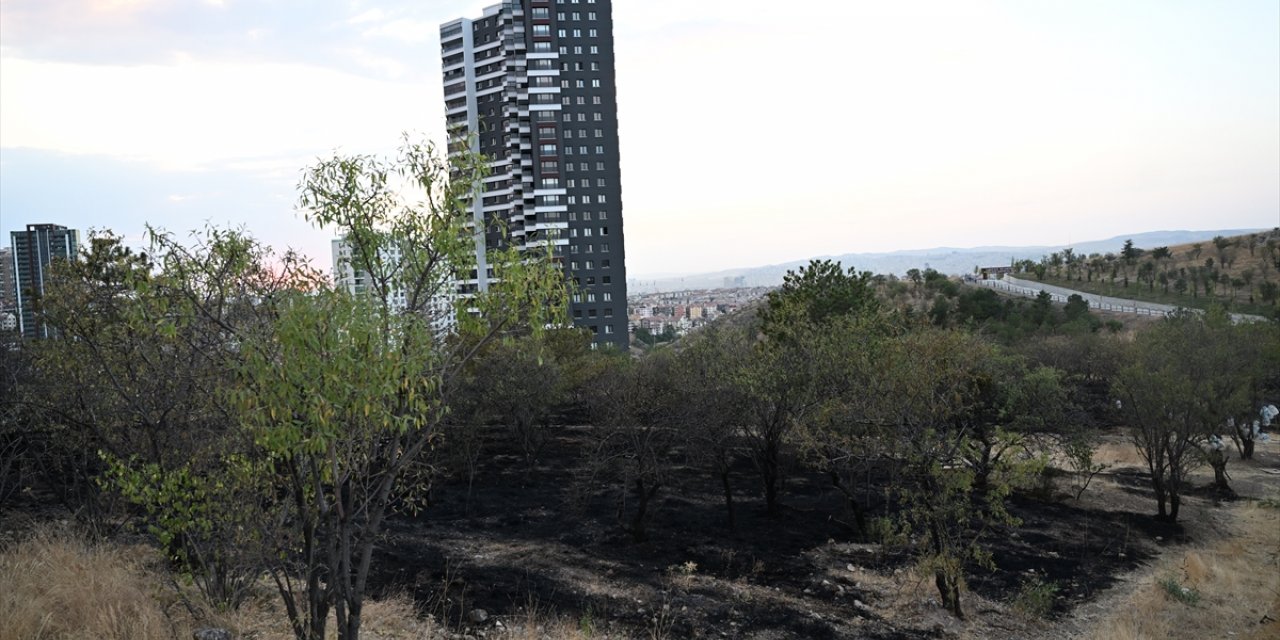 Ankara'da ağaçlık alanda çıkan yangın söndürüldü