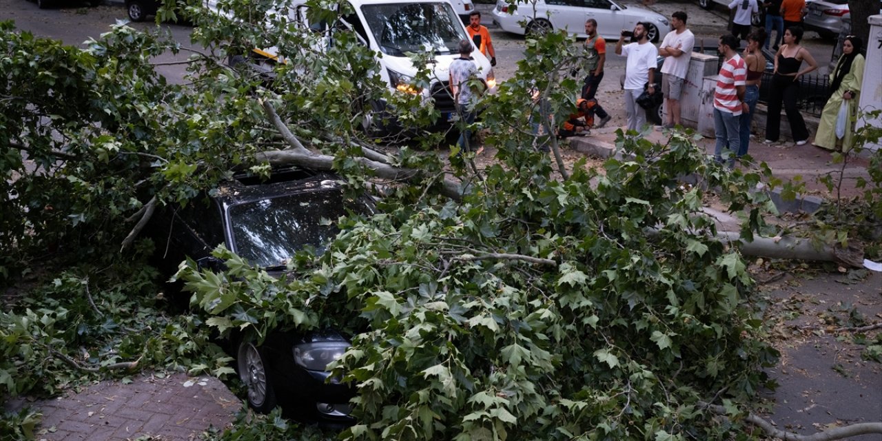 Ankara'da rüzgarın etkisiyle devrilen ağaç park halindeki otomobile zarar verdi