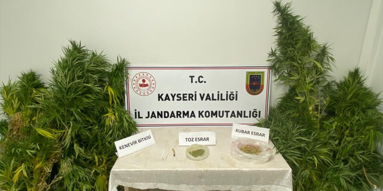 Kayseri'de evinde Hint keneviri yetiştiren kişi yakalandı