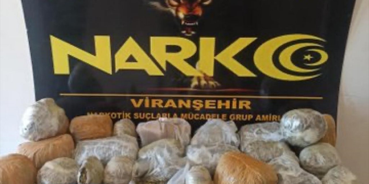 Şanlıurfa'da 26 kilo 600 gram skunk ele geçirildi