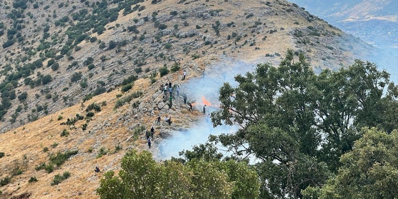 Diyarbakır'ın Hani ilçesinde çıkan orman yangını söndürüldü