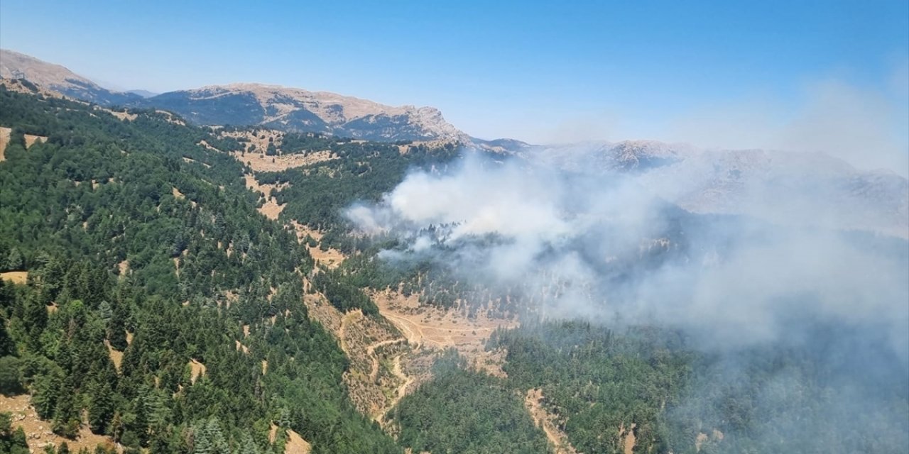 Kahramanmaraş'ta çıkan orman yangınına müdahale ediliyor