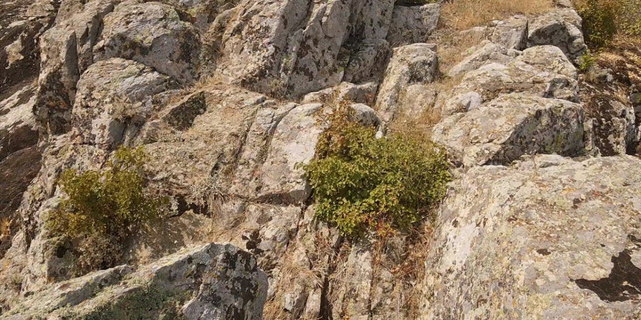 Edirne'de yaklaşık 4 bin yıllık Traklara ait kültürel mirasın korunması talebi