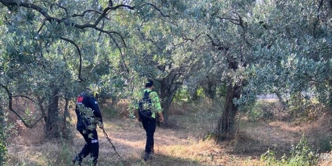 Yalova'da kaybolan öğretmen için arama çalışması başlatıldı