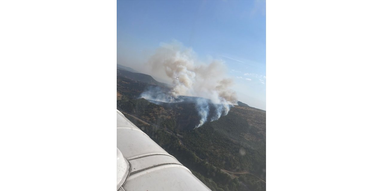 Balıkesir'in Kepsut ilçesinde orman yangını çıktı