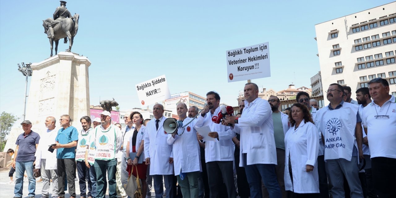 Veteriner hekimlerden "sağlıkta şiddet yasası" kapsamına alınma talebi
