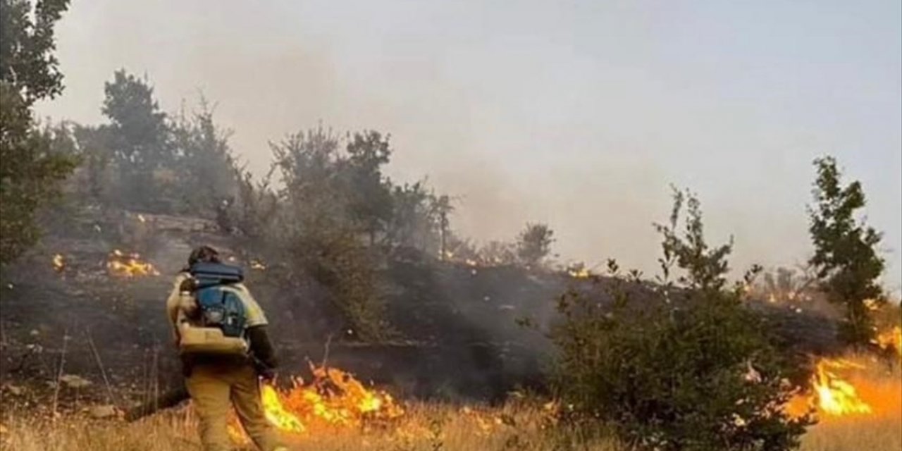 Şırnak’ta ormanlık alanda çıkan yangın söndürüldü