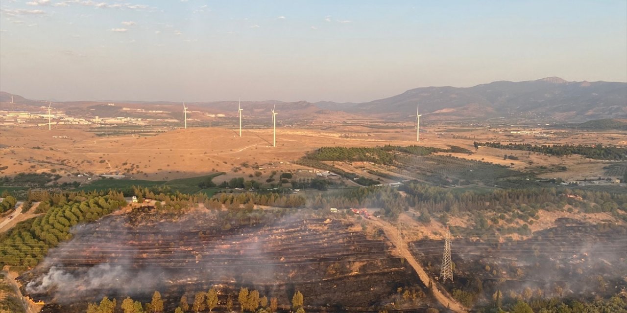 İzmir'in Aliağa ilçesinde orman yangını çıktı