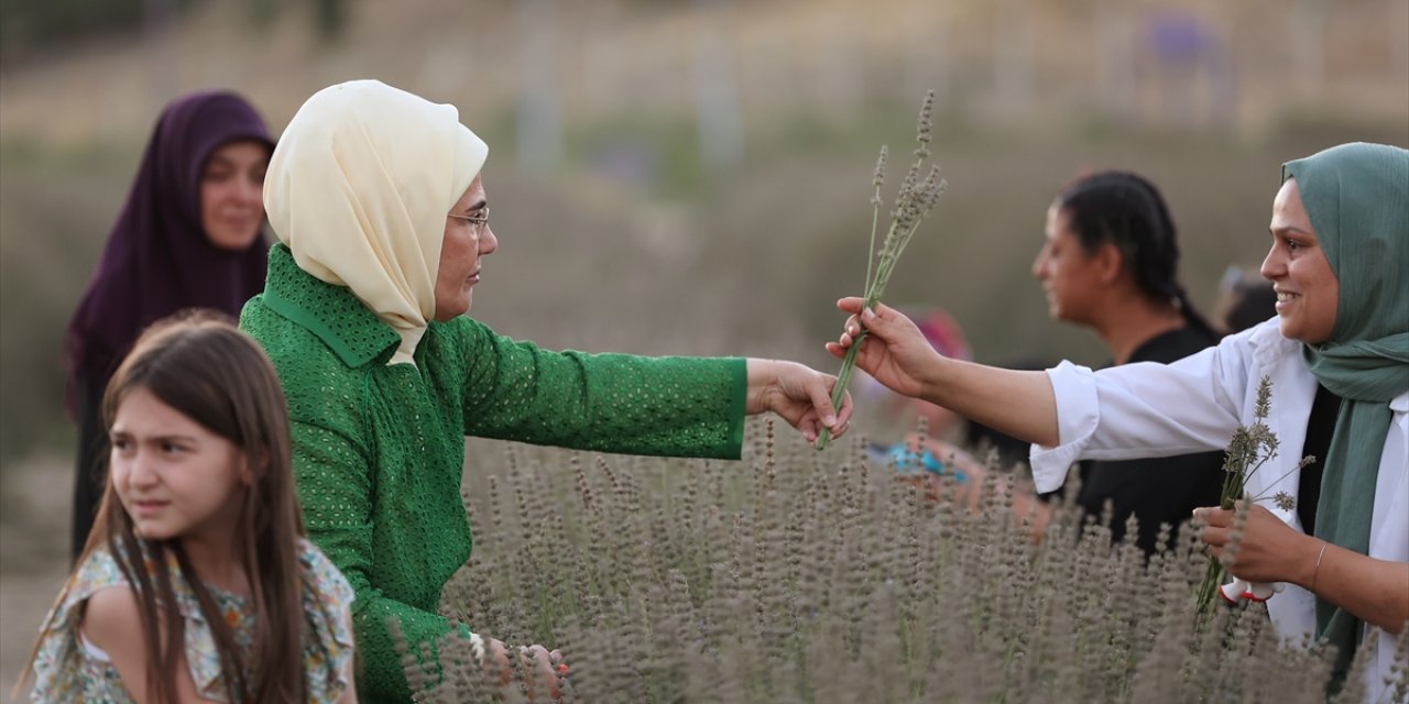 Emine Erdoğan, Ankara'da Ekolojik Köy ziyareti ve lavanta hasadı yaptı