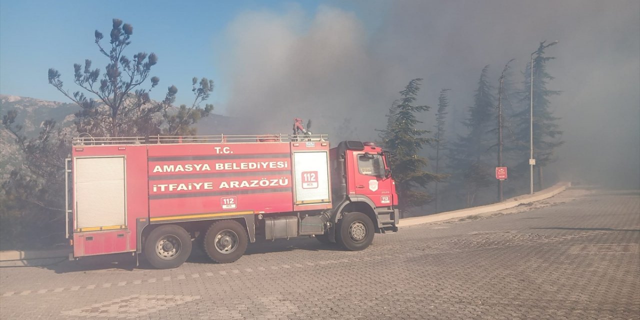 Amasya'da Harşena Kalesi yakınındaki ormanlık alanda yangın çıktı