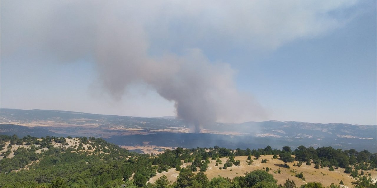 Eskişehir'de ormanlık alanda çıkan yangına müdahale ediliyor