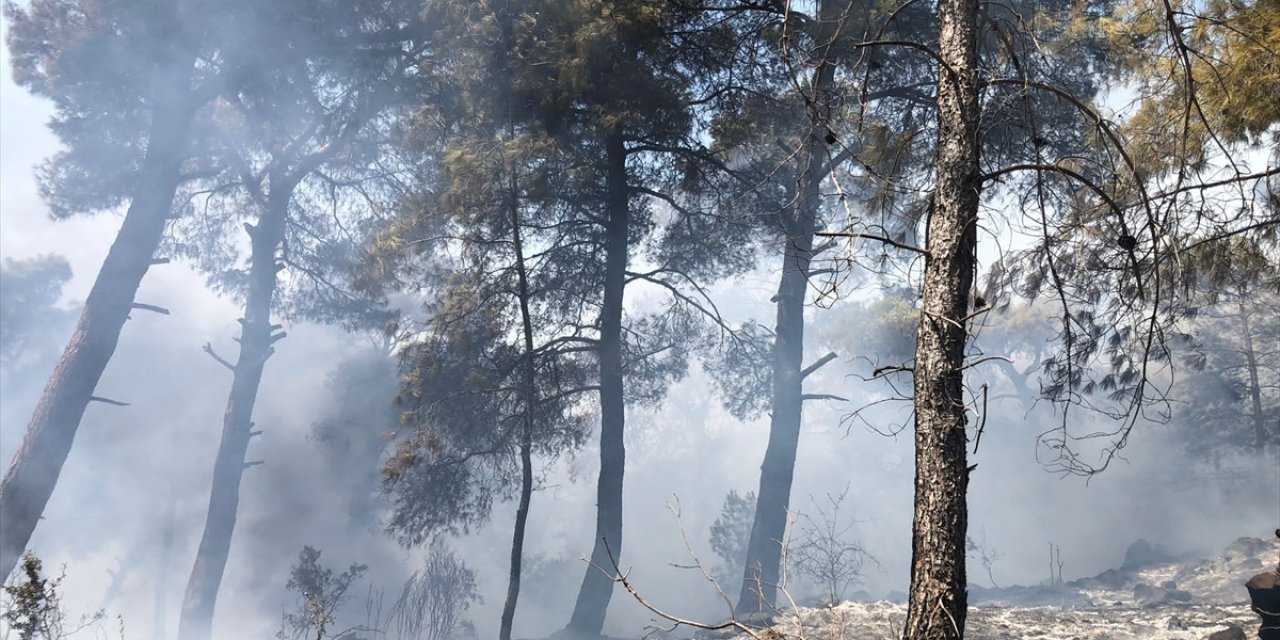 İzmir'de ormanlık alanda çıkan yangın kontrol altına alındı