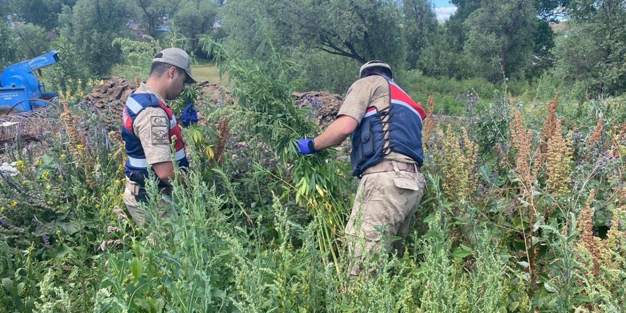 Kars'ta uyuşturucu operasyonunda 12 şüpheli yakalandı