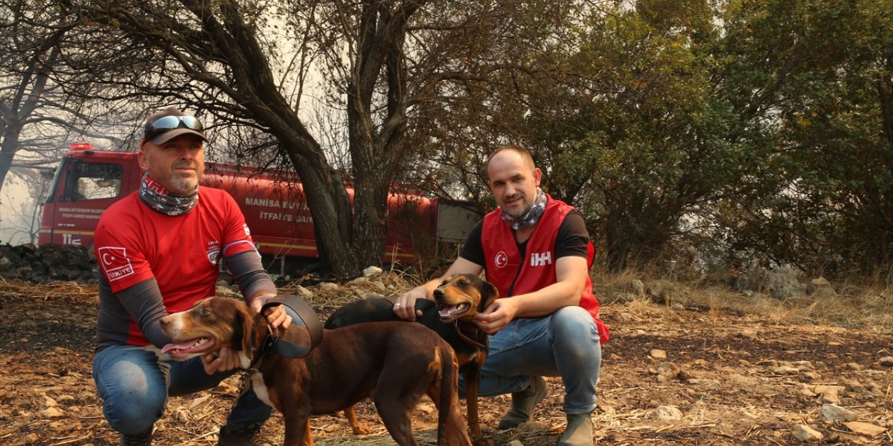 İHH gönüllüleri Çanakkale'deki yangında barakada mahsur kalan 2 köpeği kurtardı