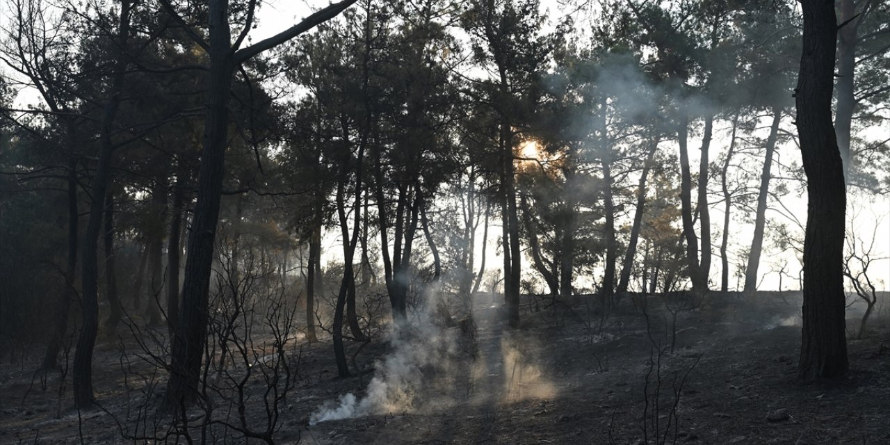 Çanakkale'de orman yangınını söndürme çalışmaları devam ediyor