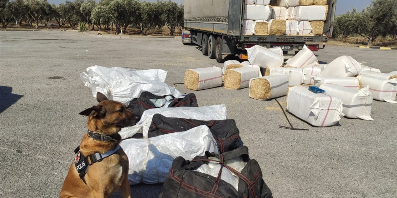 Osmaniye'de kullandığı tırda 172 kilo 200 gram uyuşturucu bulunan zanlı tutuklandı