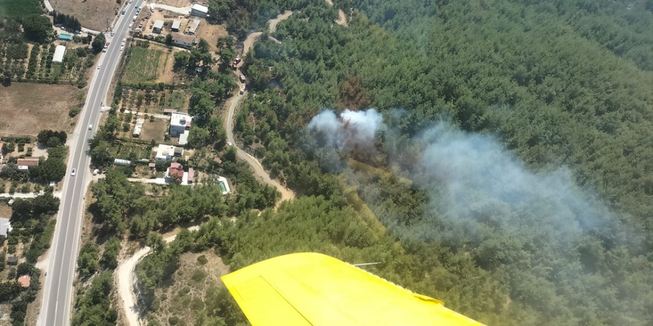 İzmir'de orman yangını kontrol altına alındı