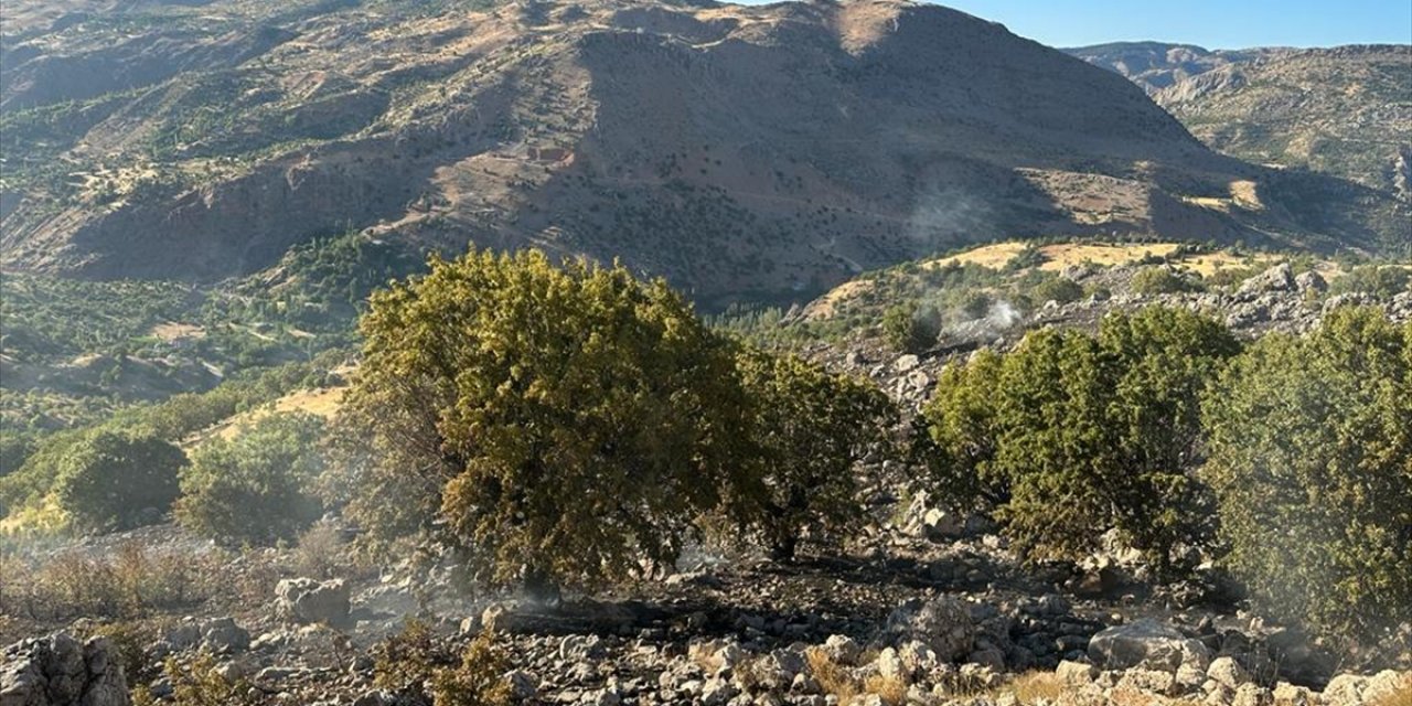 Malatya'da çıkan orman yangını söndürüldü